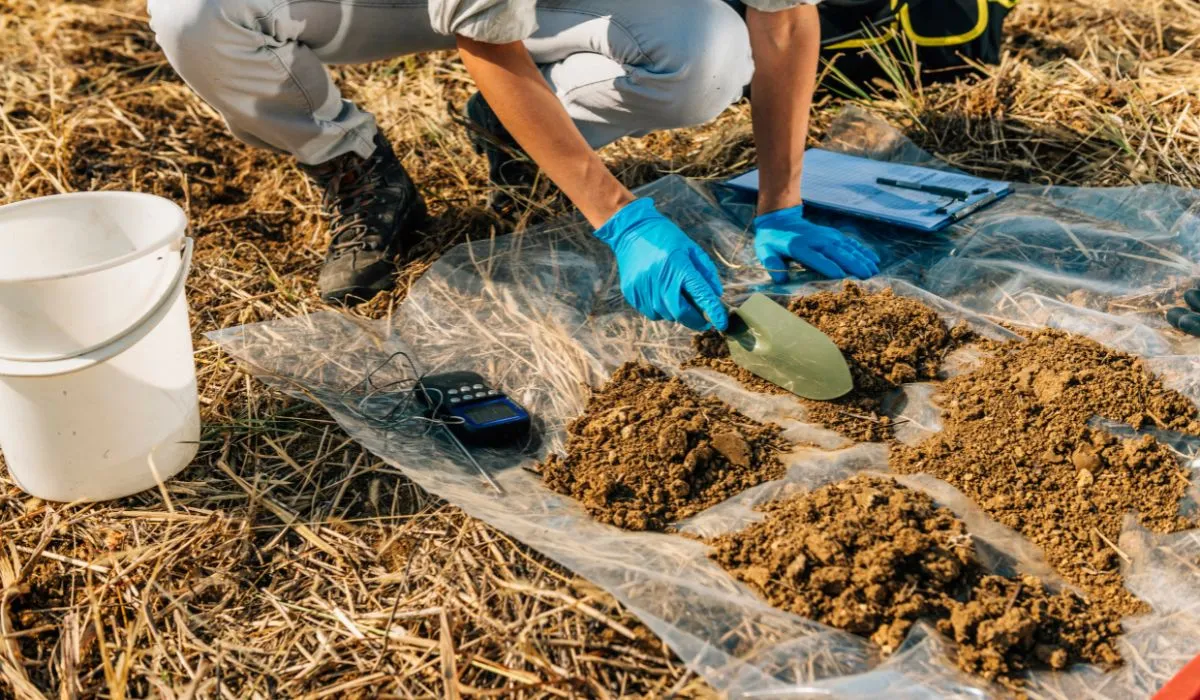 geology researcher collecting a soil sample